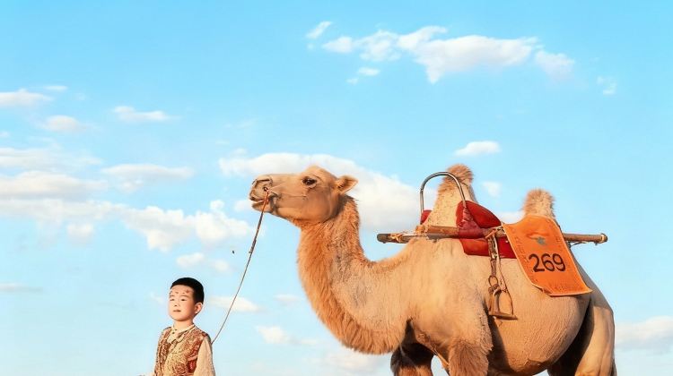 5-day 4-night · Group Tours · Yinchuan + Zhongwei
