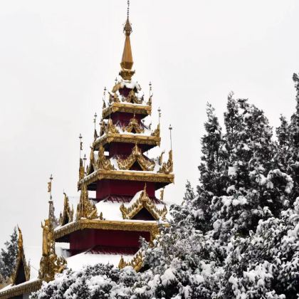 河南洛阳+老君山景区+龙潭大峡谷4日3晚私家团