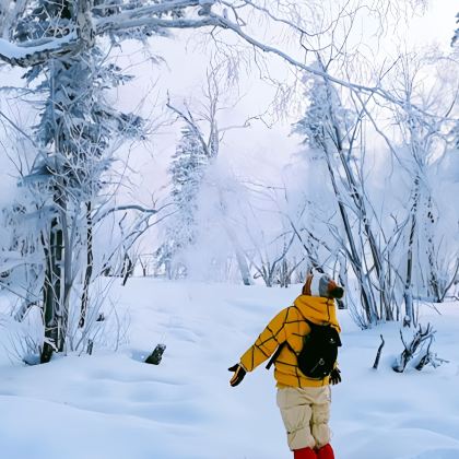 长白山景区5日4晚跟团游