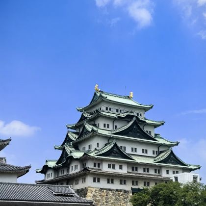 日本和歌山市+白滨町+伊势市+熊野市5日4晚私家团