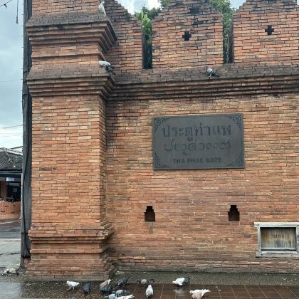 泰国清迈+苏梅岛+塔佩门+清迈古城+粘粘瀑布+南园岛+Koh Tao Scuba Club7日6晚拼小团