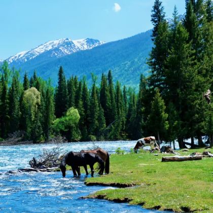 新疆喀什市+南疆7日6晚自由行