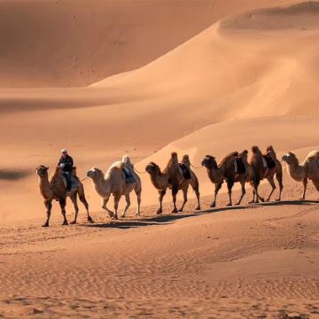 呼和浩特+响沙湾+辉腾锡勒草原+乌兰哈达火山地质公园5日4晚私家团