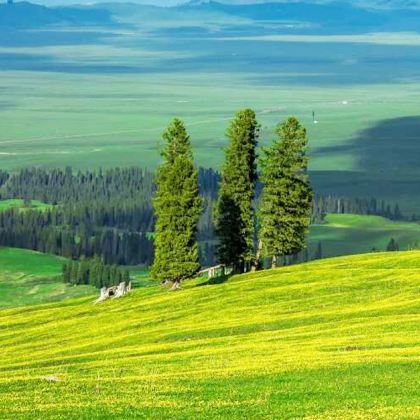 新疆北疆+伊犁+那拉提旅游风景区+赛里木湖4日3晚拼小团