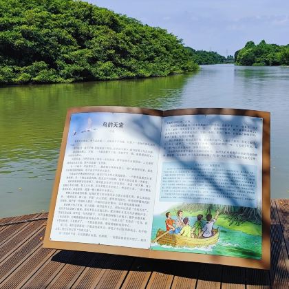 自力村碉楼群+小鸟天堂+江门三十三墟街2日1晚私家团