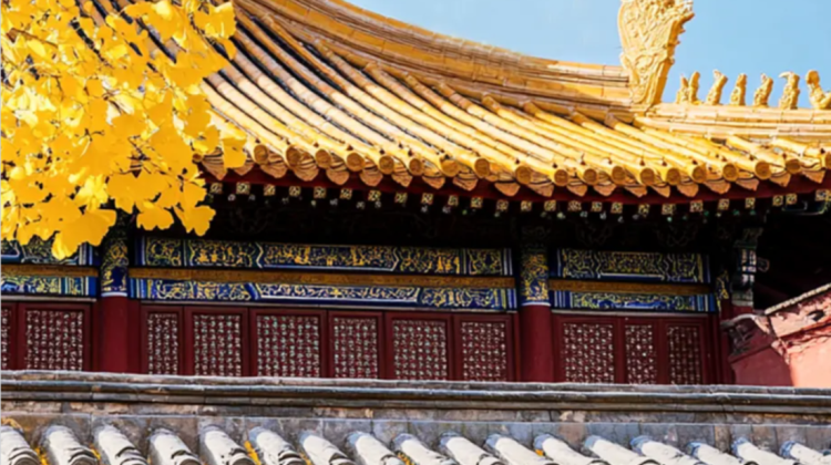 5-Day Beijing Highlights Private Tour· Tiananmen Square, Badaling Great Wall, The Summer Palace and Yuanmingyuan Park
