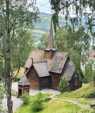 5D4N • Norway: Fjord Tour + Bryggen + Mount Floyen + Flam Mountain Railway + Naeroyfjord Cruise