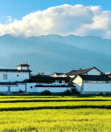 7D6N • Yunnan + Tengchong + Mangshi + Heshunguzhen + Menghuandajinta