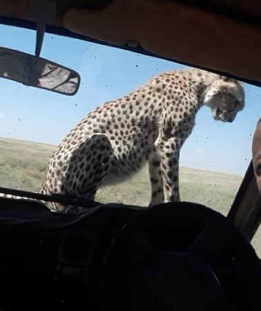 5D4N • 5 Days Tanzania Group Joining Safari, Tarangire/Serengeti/Ngorongoro Crater