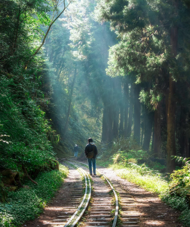 3D2N • Muslim-Friendly - Sun Moon Lake - Alishan