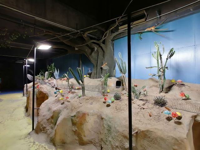 邯郸·海洋世界旅行图片 4