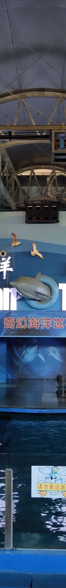 苏州海洋馆-苏州