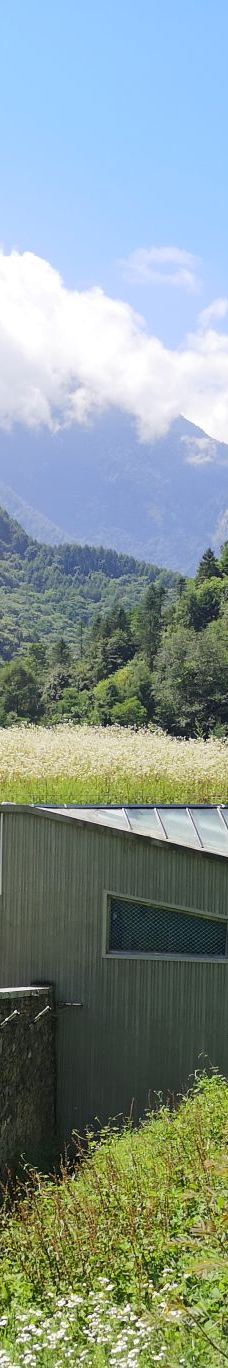 卧龙中华大熊猫苑神树坪基地-汶川