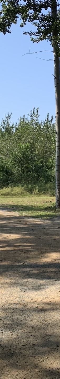 秦皇岛野生动物园-秦皇岛