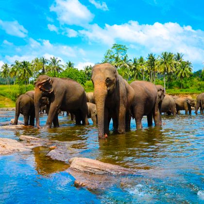 马尔代夫+斯里兰卡13日11晚私家团