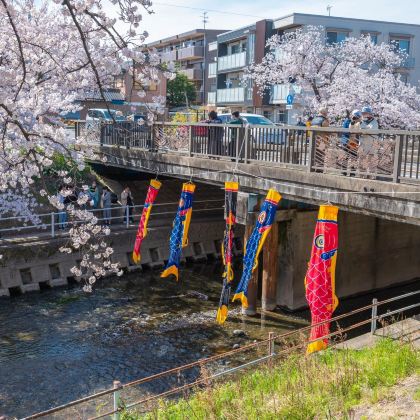 日本名古屋+下吕市+高山市+白川乡+金泽6日5晚私家团