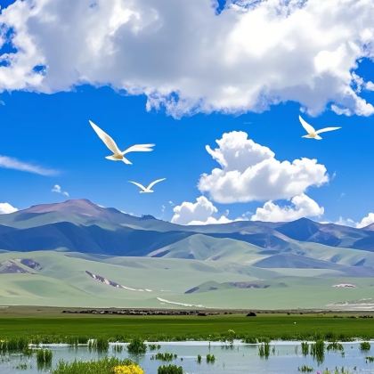 兰州+夏河+扎尕那3日2晚拼小团