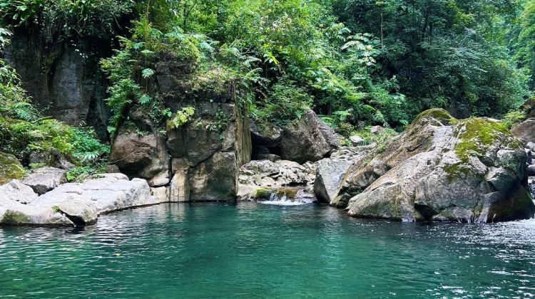 7D6N · Private Tours · China + Guiyang + Huangguoshu Waterfall + Xijiang Qianhu Miao Village + Libo + Luoping Nine Dragons Waterfall Group