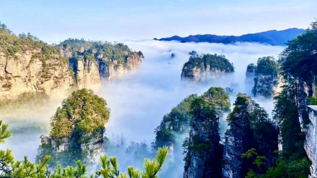 3-Day Best of Zhangjiajie Tour·Zhangjiajie National Forest Park | Tianmen Mountain | Cliff Glass Plank Road | Tianmen Cave