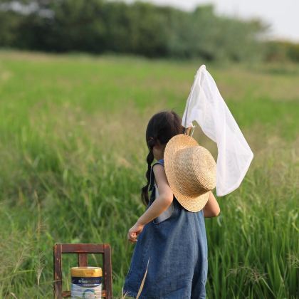 长沙+韶山+天门山国家森林公园+张家界国家森林公园+芙蓉镇+凤凰古城6日5晚私家团