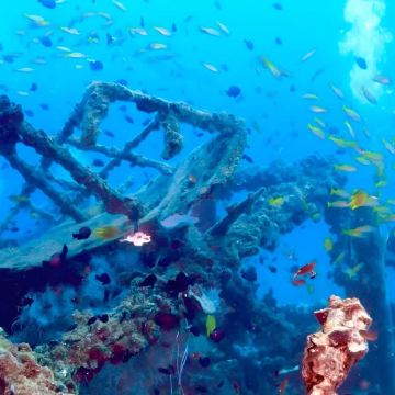 哥打京那巴鲁+山打根7日6晚私家团