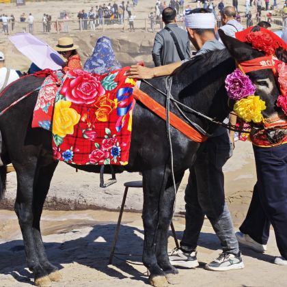 西安5日4晚跟团游