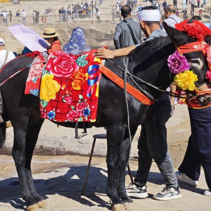 西安5日4晚跟团游