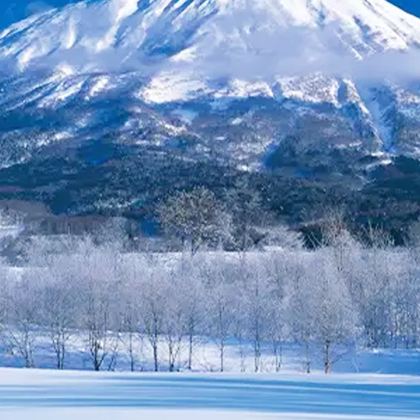 日本2日1晚跟团游