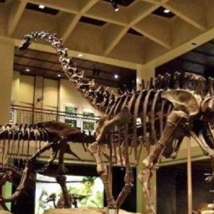 美国奥斯汀+圣安东尼奥+休斯敦6日5晚私家团