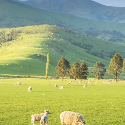 澳大利亚+新西兰13日11晚拼小团