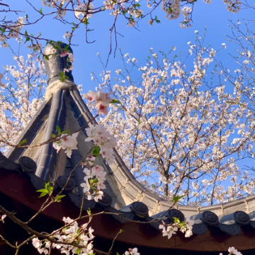 江西庐山4日3晚拼小团