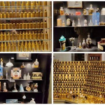 法国8日7晚私家团