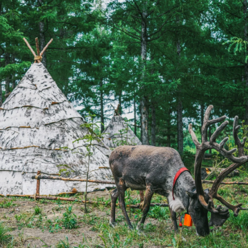 长白山3日2晚私家团