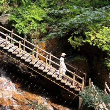 日本名古屋+白川乡+高山市2日1晚跟团游