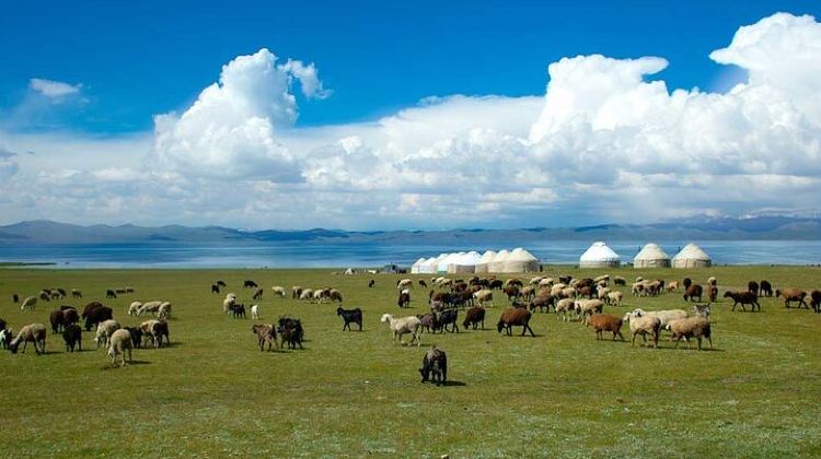 2D1N · Group Tours · 2-Day Small-Group Nomadic Adventure to Song Kul Lake