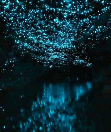 2D1N • New Zealand North Island + Waitomo Glowworm Caves + Wai-O-Tapu Thermal Wonderland + Taupo + Hamilton Gardens + Auckland City Tour