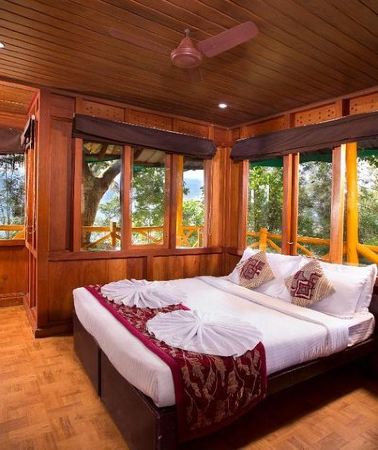 3D2N • Treehouse stay in munnar
