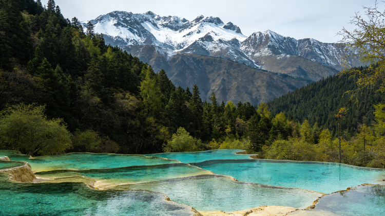 7D6N · Private Tours · Muslim-Friendly Fal&Winter Pre-sale: Chongqing, Chengdu, Pandas, Huanglong, Jiuzhaigou & Huangcheng Mosque