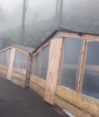 2D1N • From Antigua: 2-Day Acatenango Volcano Hiking with Guide