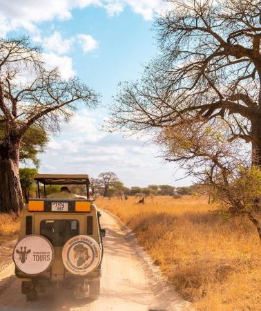 3D2N • From Zanzibar: 3-Day Tanzania Safari: Tarangire & Ngorongoro