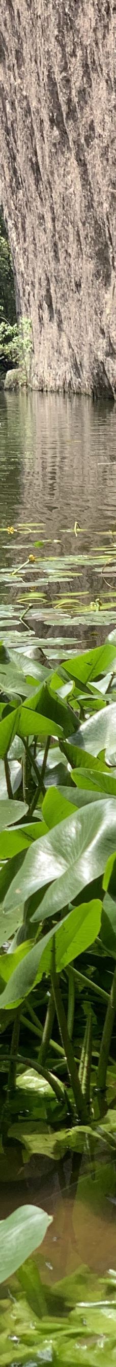 寨下大峡谷-泰宁