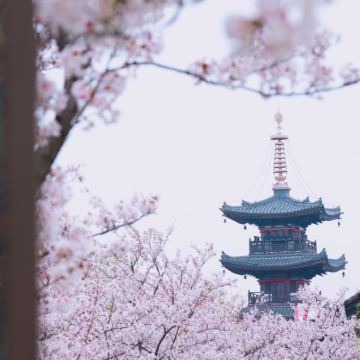 无锡+苏州3日2晚私家团