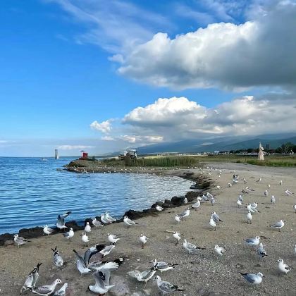 青海湖景区+茶卡盐湖+塔尔寺+坎布拉景区+贵德国家地质公园阿什贡七彩峰丛景区5日4晚私家团