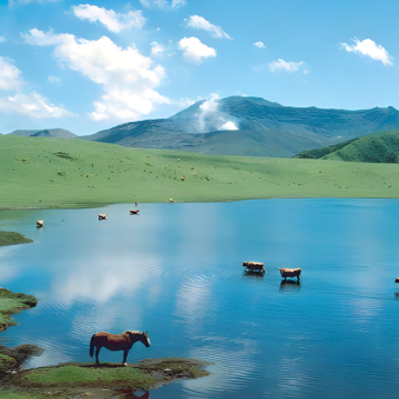 日本九州+北九州+熊本+大分+福冈+佐贺5日4晚跟团游