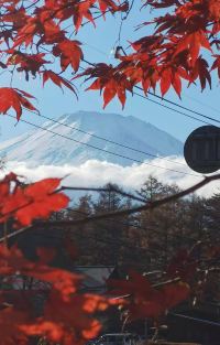 日本东京+富士山+箱根5日4晚拼小团图片
