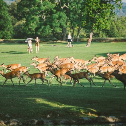 日本大阪+日本环球影城+京都7日6晚私家团