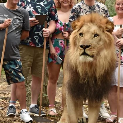 毛里求斯+蓝湾+自然桥+毛里求斯航空直升机之旅8日6晚拼小团