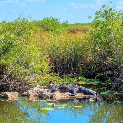 美国迈阿密8日6晚私家团