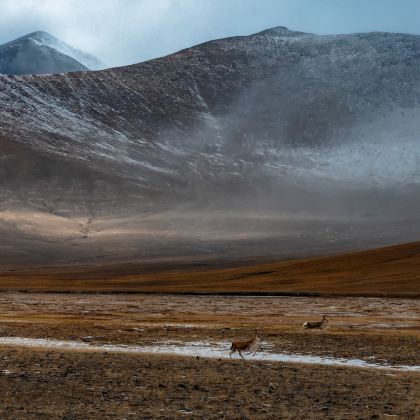 可可西里+察尔汗盐湖+黑独山+敦煌6日5晚私家团