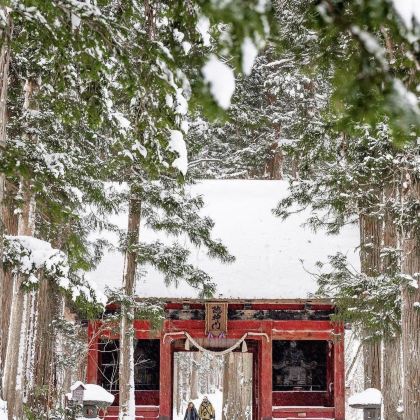 日本东京+富士山+日光市+轻井泽町+长野市7日6晚私家团